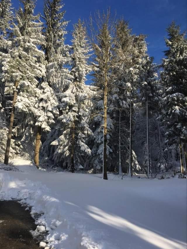 Apartmaji Velikonja Ajdovscina Luaran gambar