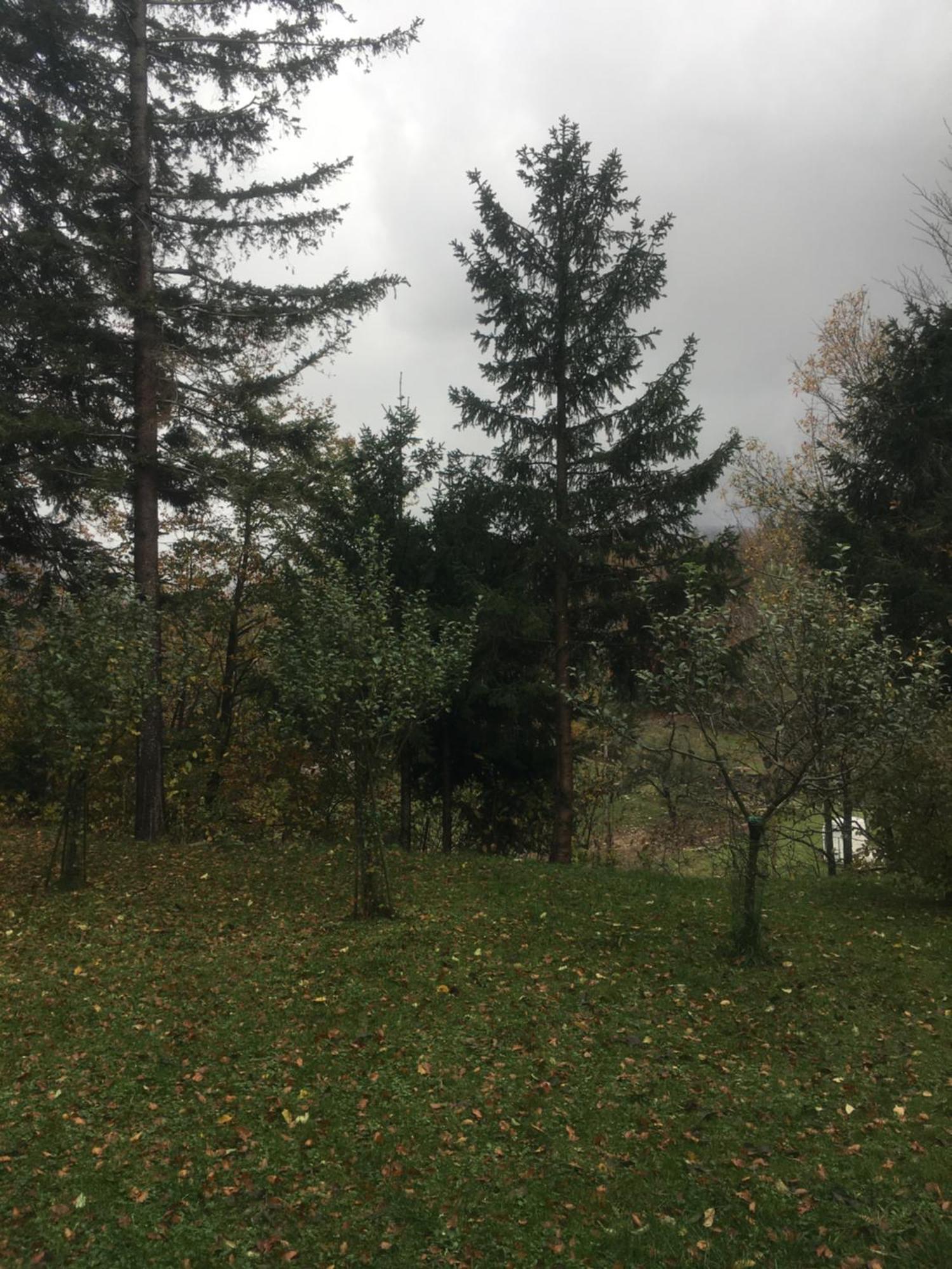 Apartmaji Velikonja Ajdovscina Luaran gambar